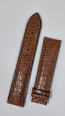 Correa Eberhard aligator