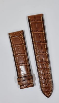 Correa Eberhard aligator