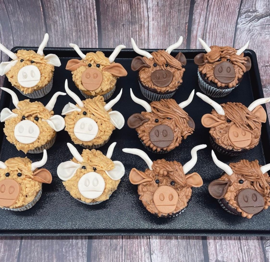 Cupcakes Rinder 12er Set