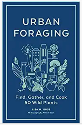 Urban Foraging