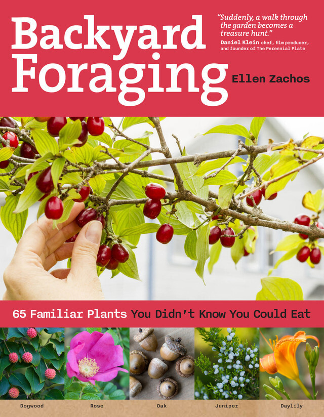 Backyard Foraging book