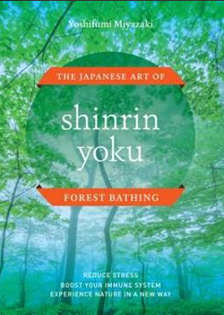 Shinrin Yoku: Forest Bathing