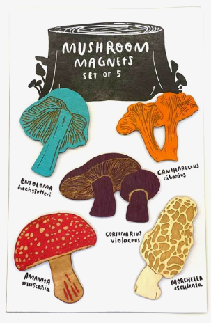 Mushroom Magnet Set