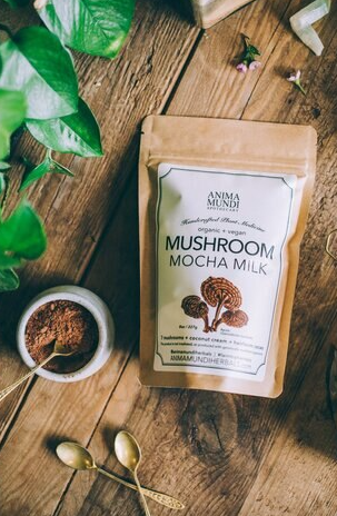 Mushroom Mocha Milk - 8 oz