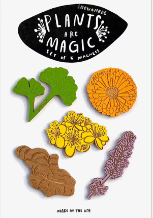 Plants are Magic Magnets - 5