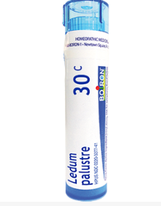 Homeopathic Ledum 30c