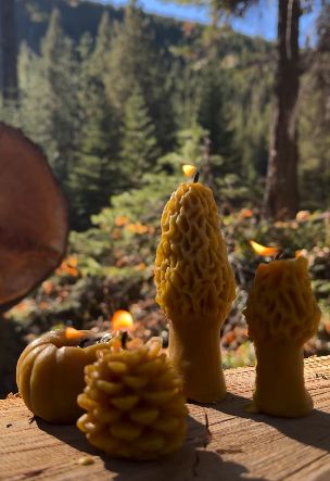 Candle - Pumpkin