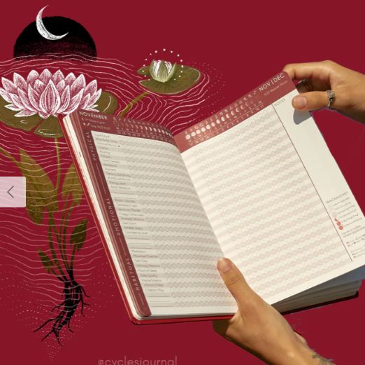 Cycles Journal 2025