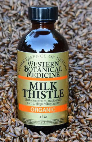 Milk Thistle Tincture - 2 oz bottle