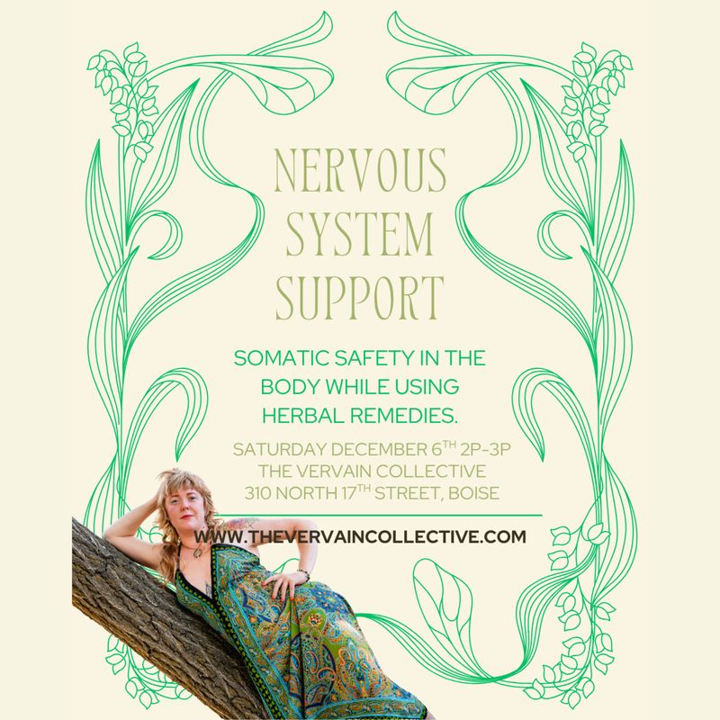 Nervous System Support: Somatic Safety in the Body with Kayla Keller
