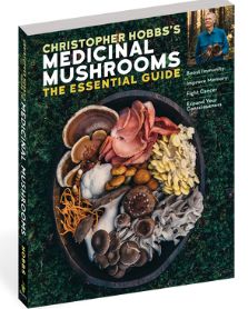Medicinal Mushrooms - The Essential Guide