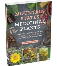 Mountain States Medicinal Plants