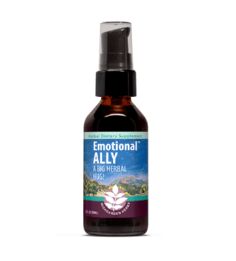 Emotional Ally - 2 oz pump