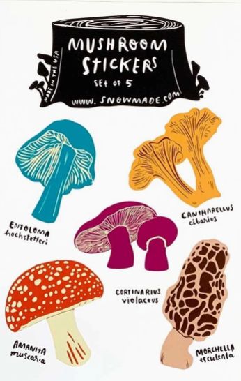 Sticker – Mushroom Stickers set of 5