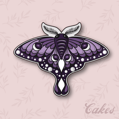 Witchy Collection