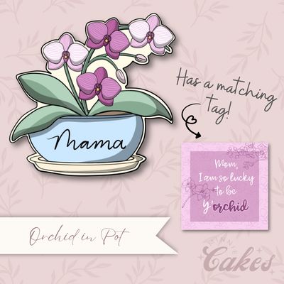 2026 Mother’s Day Collection