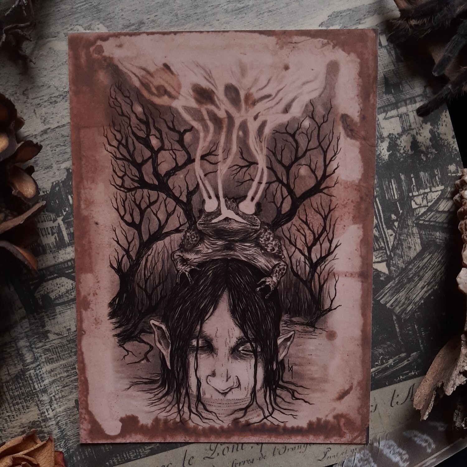 Spirit Toad - Print