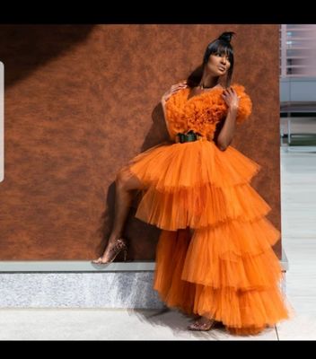 Rich Aunt Tutu Dress