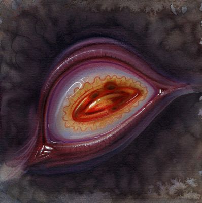 Eye 1