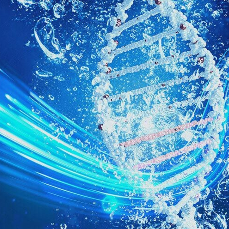 Desinfección de Piscinas con Lámparas Ultravioleta: Agua Más Limpia y Saludable