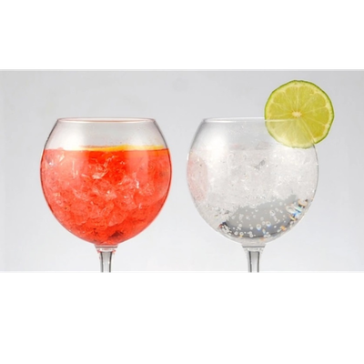 HappyGlass Copa para Gin Tonic de Plástico 630 ml - Set de 2 unidades