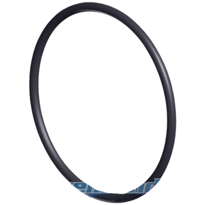 Hayward ​Junta tórica del prefiltro para Motobomba Superpool II VSTD