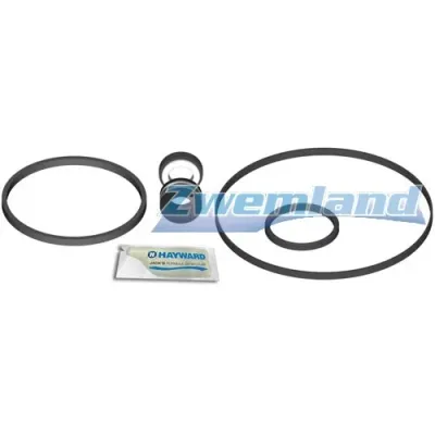 Hayward Juego completo de Empaques Motobomba Superpool