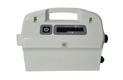 Dolphin Fuente de Alimentación Limpiafondos 9995671-assy