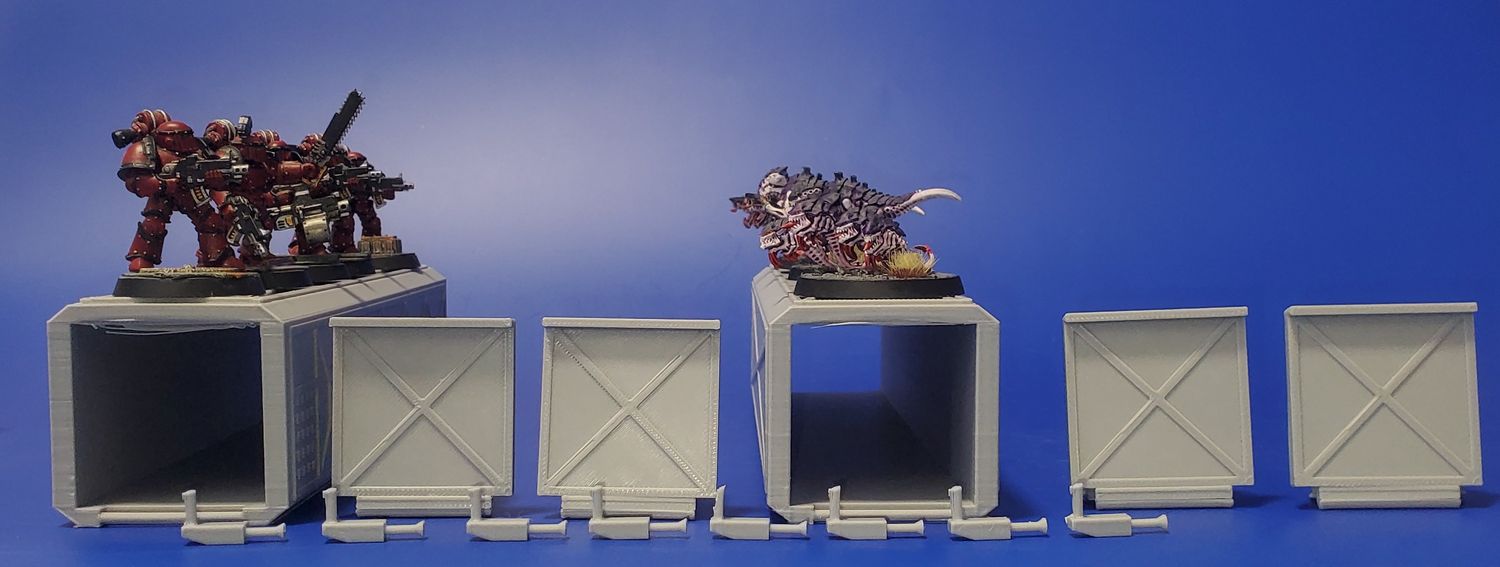 Shipping Container Open Door X-1, X-2, Video Cameras