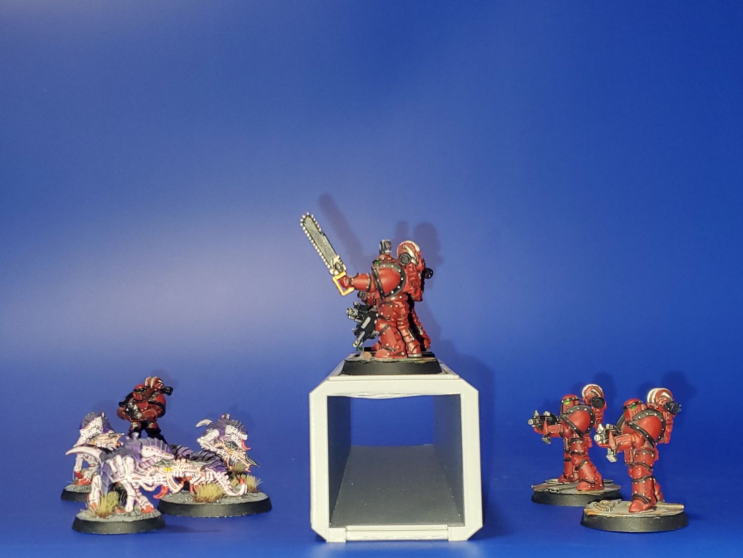 Shipping Container Open Door X-1, X-2, Video Cameras