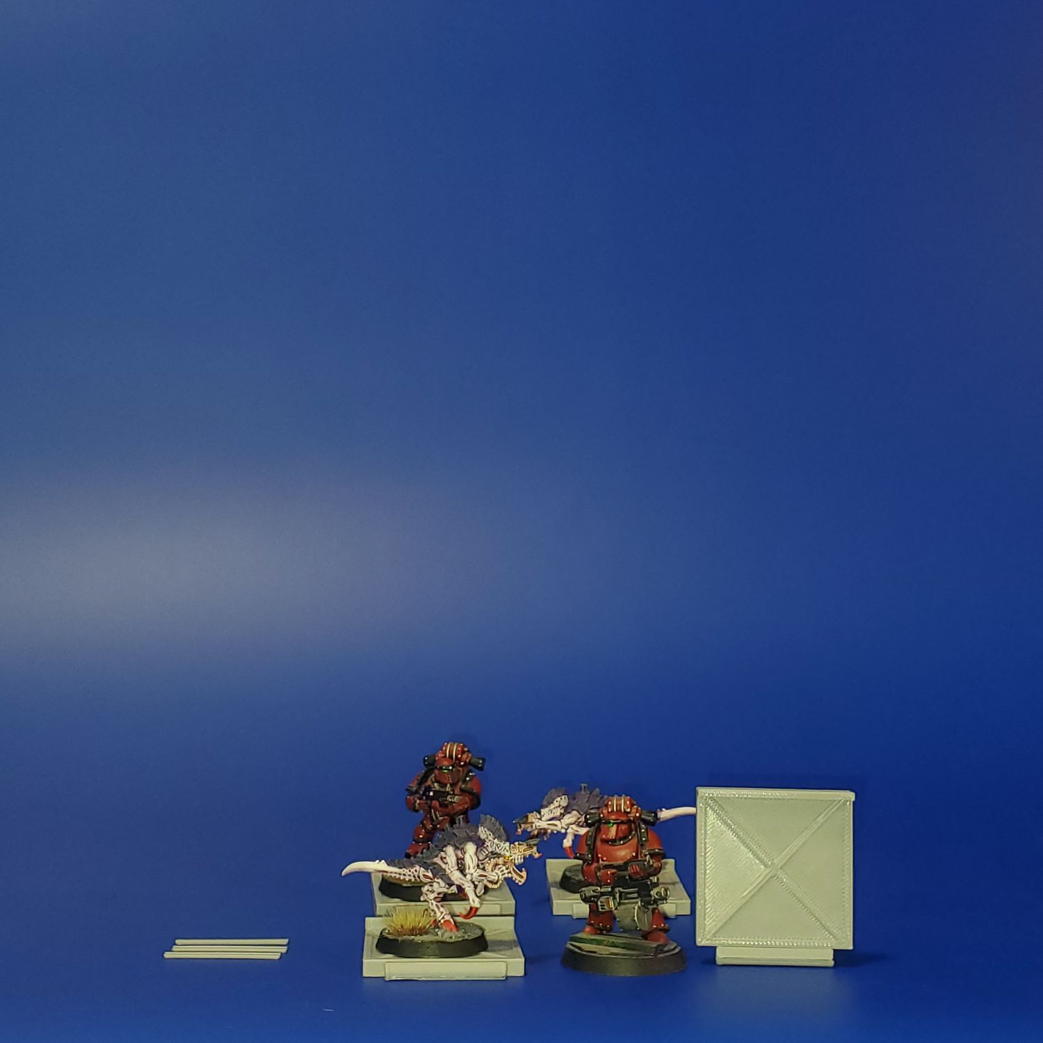 Shipping Container Open Door X-1, X-2, Video Cameras