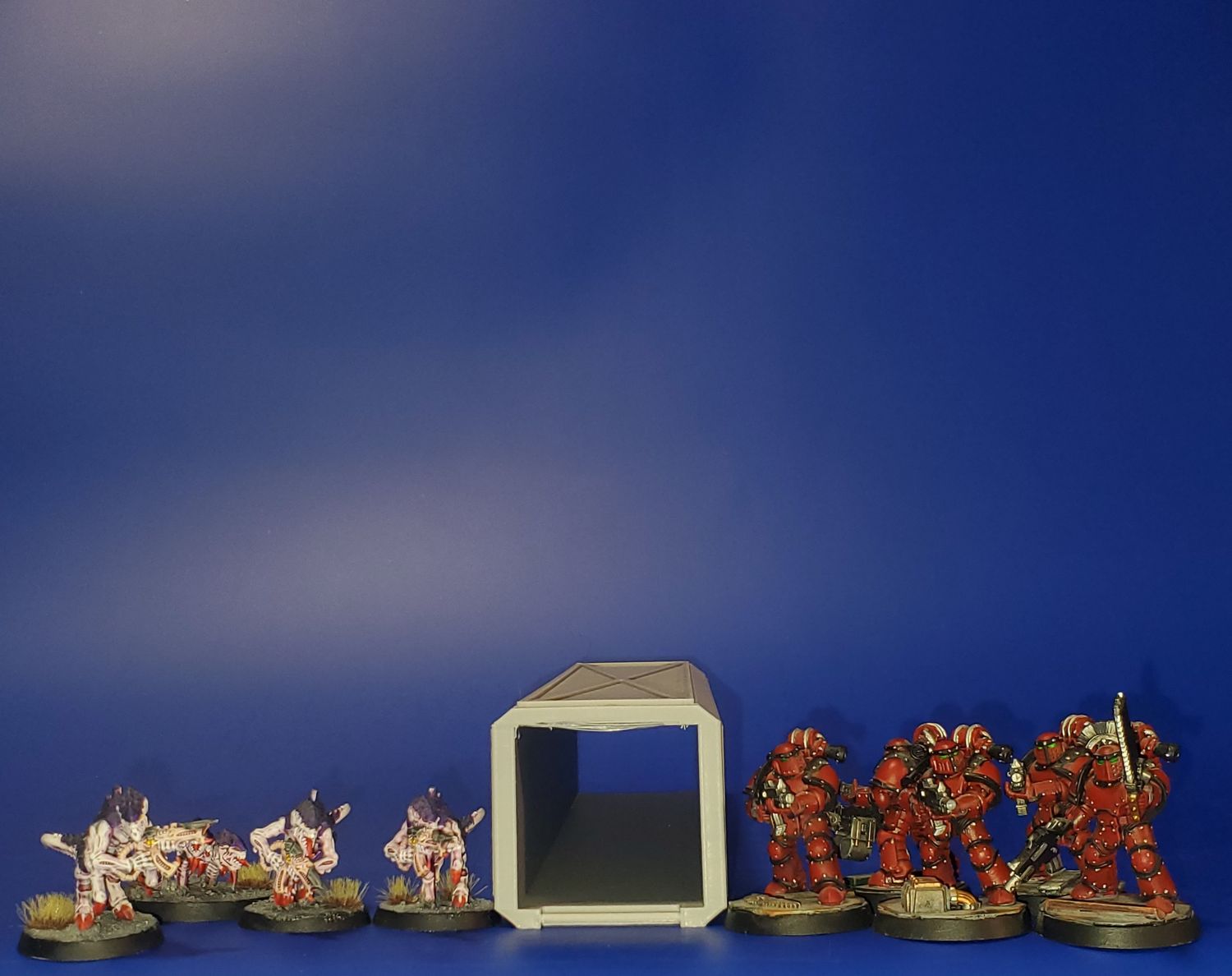 Shipping Container Open Door X-1