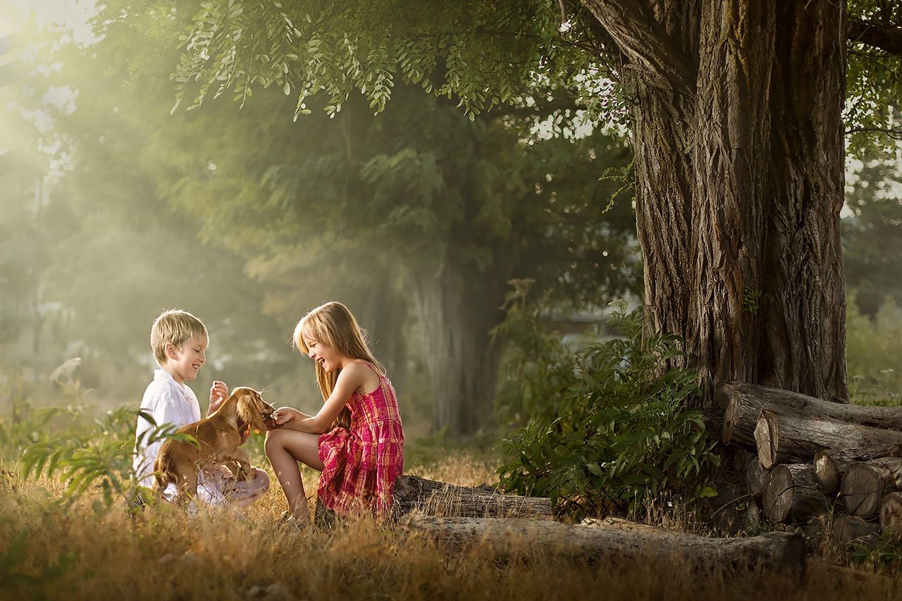 Fine Art Photoshop Editing — Children Bundle (8 Lessons)