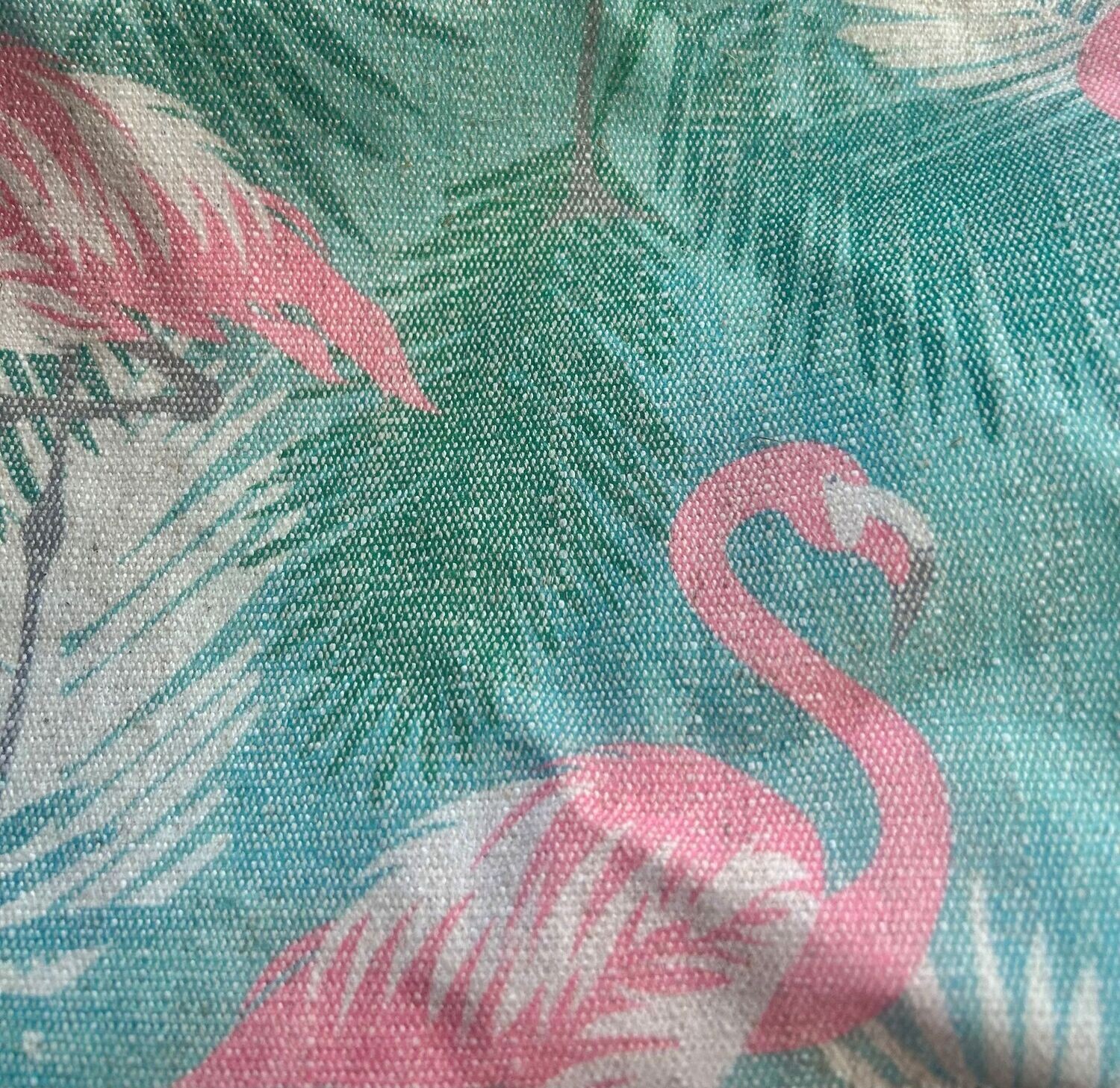 FLAMINGO CORAL