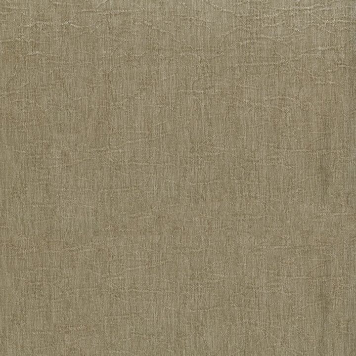 MOLLY MAPLE FC763