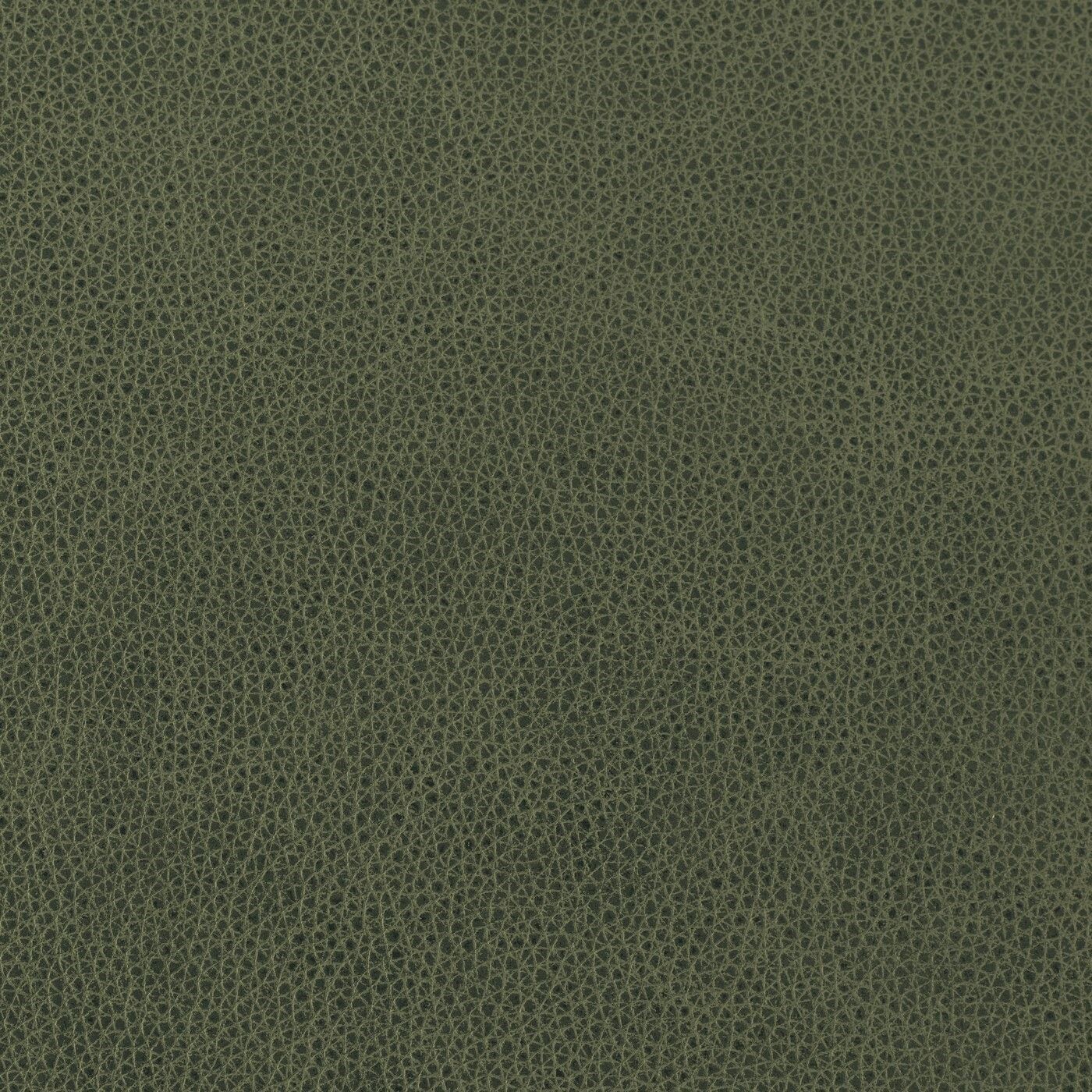 RANGERS BOREAL FOREST FC857