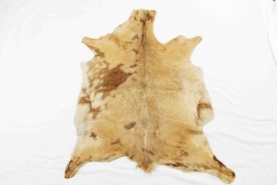 GOAT HIDE RUG SPOTTED AND MULTI COLOR ASSORTED PROFESSIONALLY TANNED WITH HAIR ON 19102