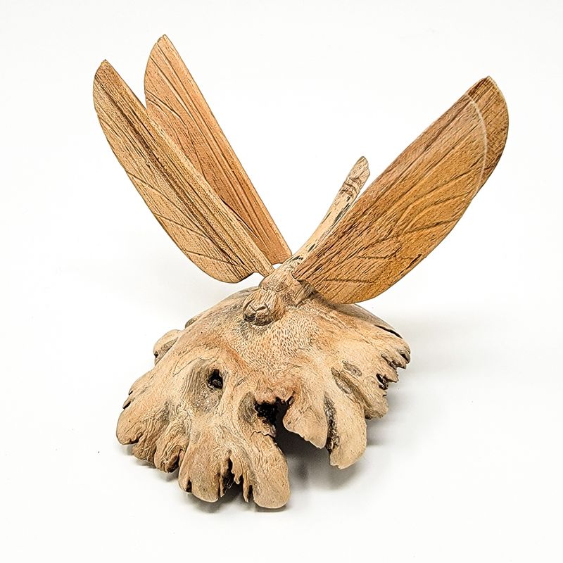 DRAGONFLY PARASITE WOOD 1844