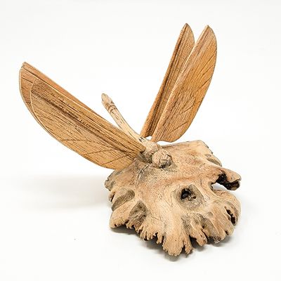 DRAGONFLY PARASITE WOOD 1844