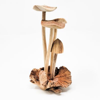 FLAT TOP WITH DOMED 4 MUSHROOMS ON PARASITE WOOD 1447