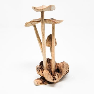 4 MUSHROOMS ON PARASITE 1447