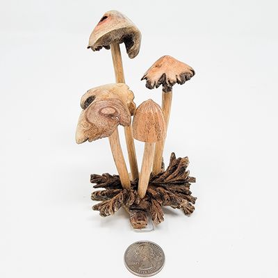 DOMED MUSHROOMS SET 4 2294