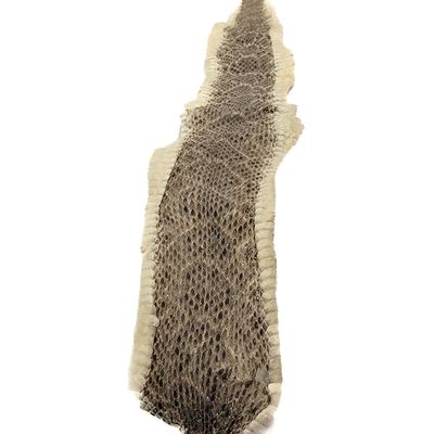 RATTLESNAKE HIDE SKIN 6368
