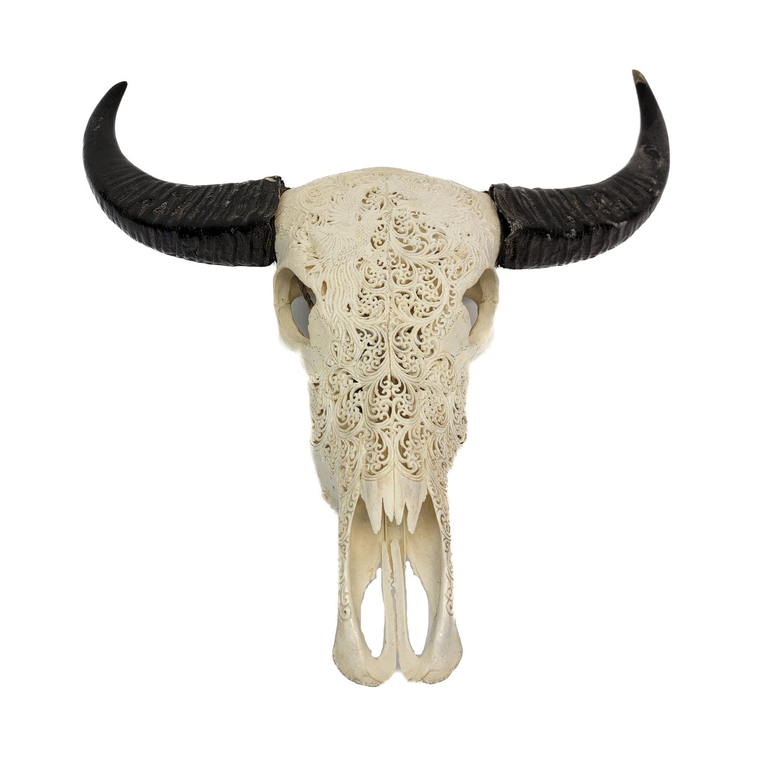 WATER BUFFALO CARVED 1275, Alternate Lookup: AXA92-595, Item #: 1275 EAGLE BKA 14, Size: 28-32in 70cm