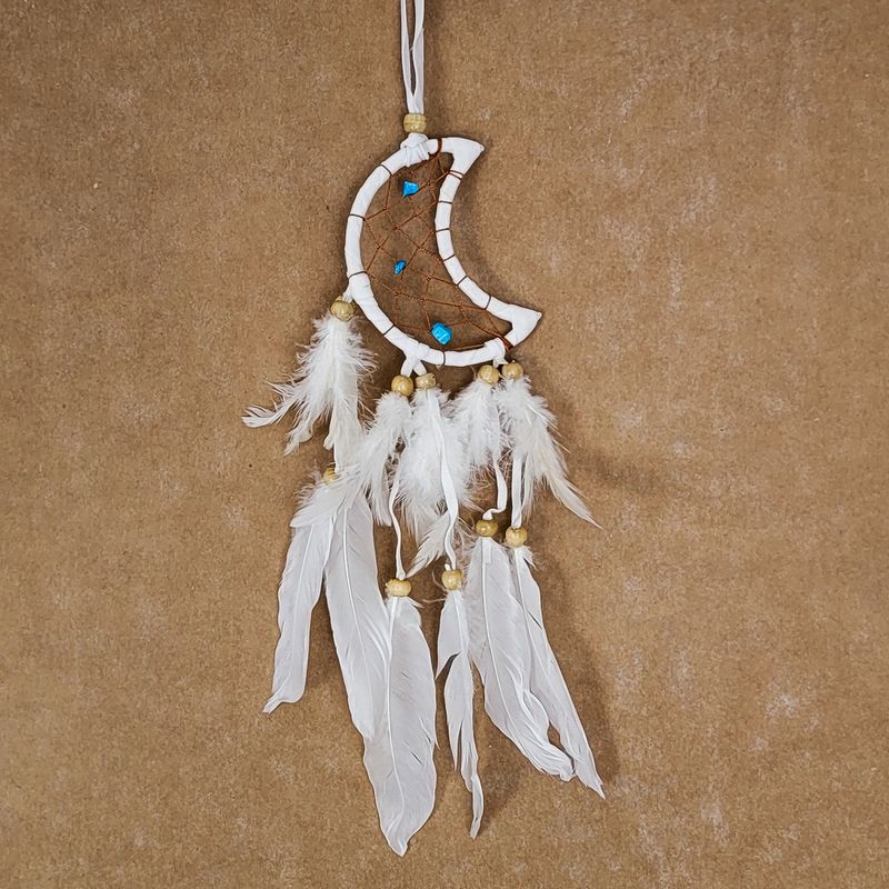DREAM CATCHER 28801