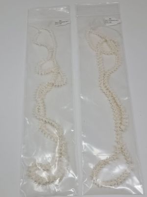RATTLESNAKE ARTICULATED VERTEBREA BACKBONE 28-36in AVE LENGTH APPROXIMATELY 5PC PER INCH AK22-400 11