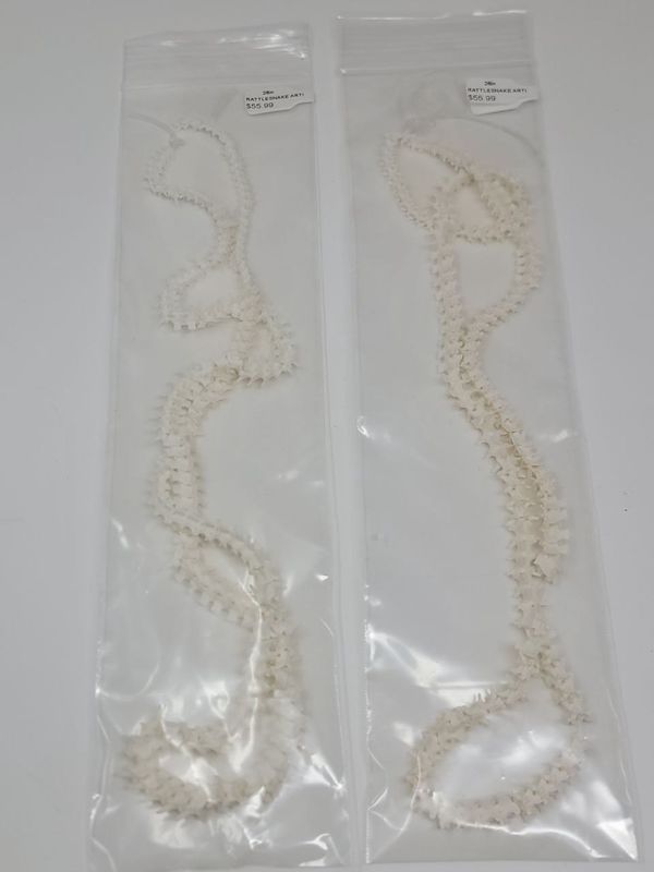 RATTLESNAKE ARTICULATED VERTEBREA BACKBONE 28-36in AVE LENGTH APPROXIMATELY 5PC PER INCH AK22-400 11