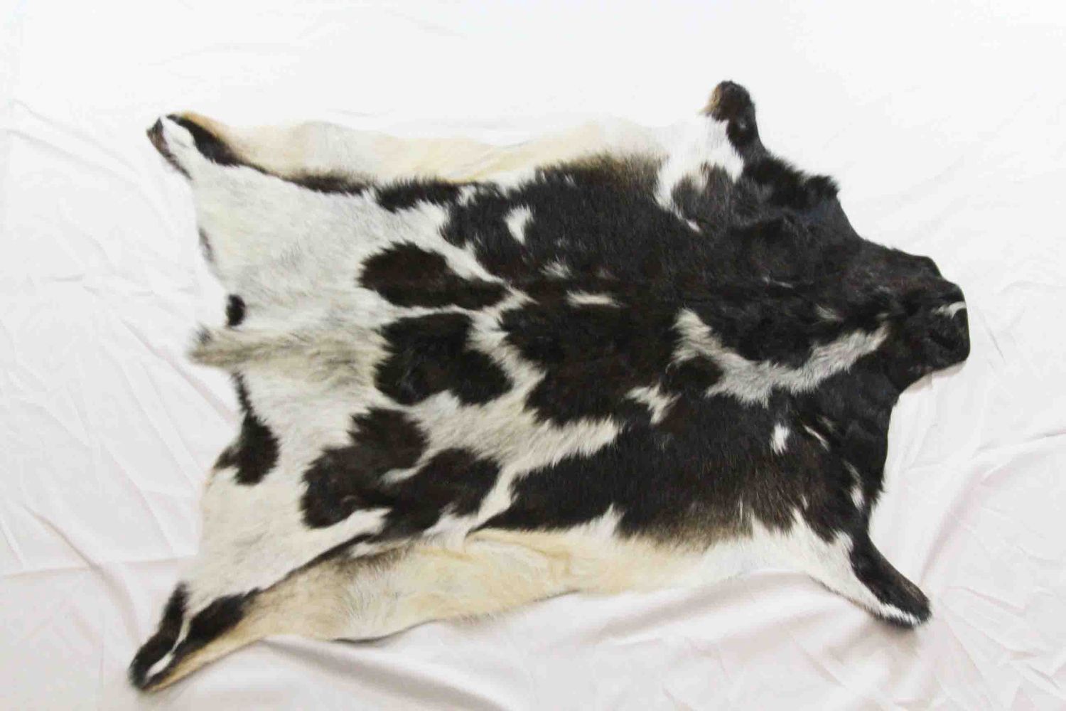 GOAT HIDE RUG SPOTTED AND MULTI COLOR ASSORTED PROFESSIONALLY TANNED WITH HAIR ON 19102, Alternate Lookup: ABJC30-001, Item #: 19102-7043, Vendor Stock #: ABJC M 24x34in