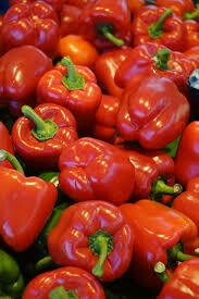 Capsicum - Red (Rapikama - Whero) large