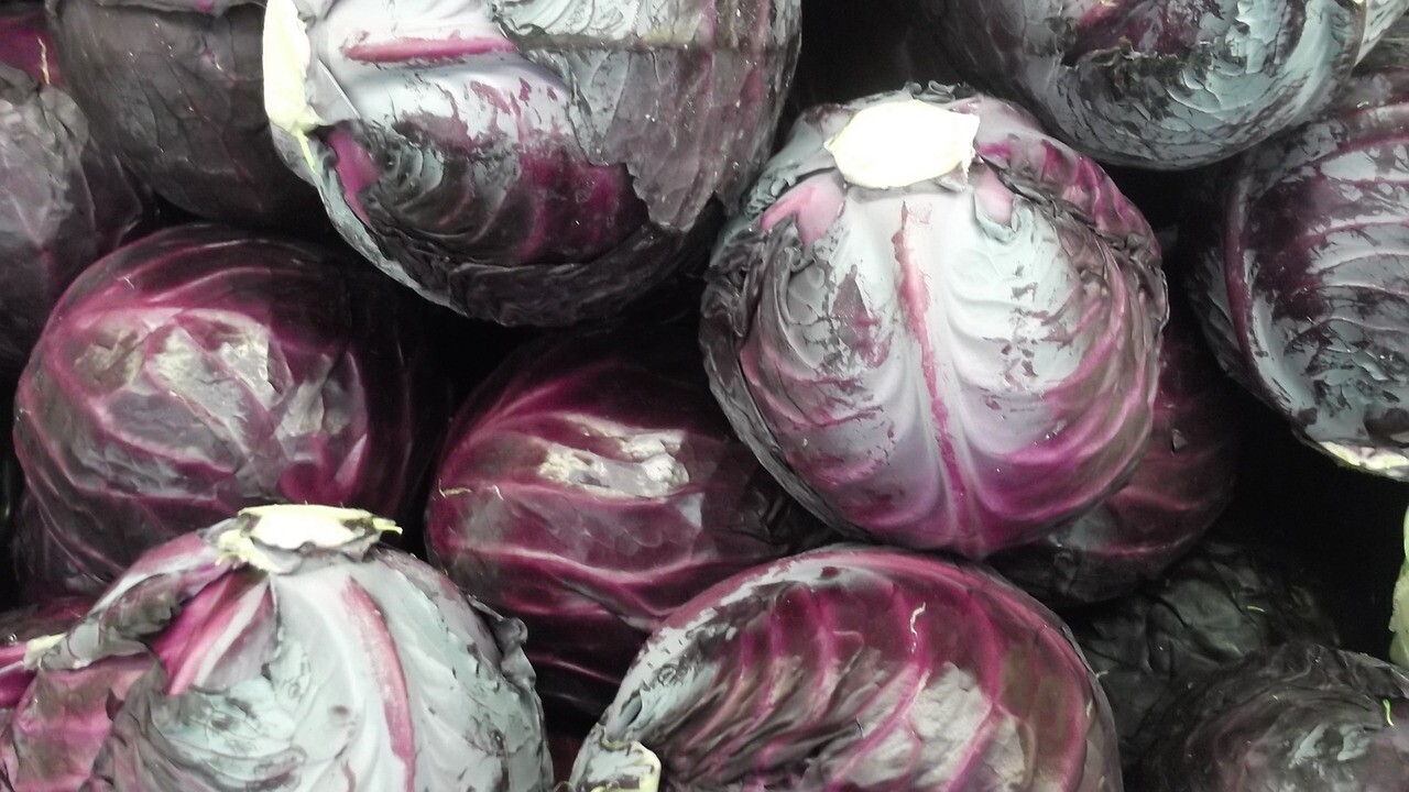 Cabbage - Red (Kāpeti - Whero)
